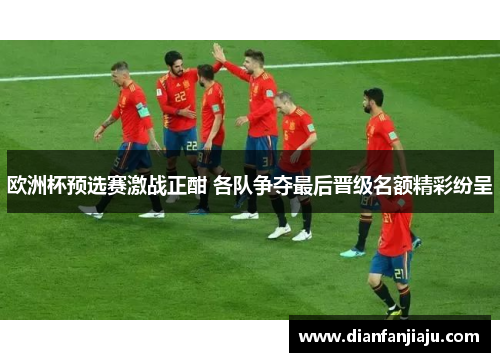 欧洲杯预选赛激战正酣 各队争夺最后晋级名额精彩纷呈